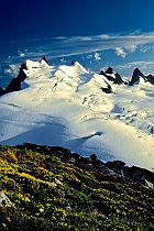 Mt. Challenger from Wiley Ridge (v)